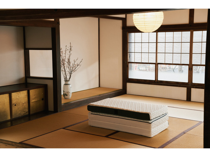 【セット商品】ラグフォートマットレス 三つ折りタイプ+ラグフォートピロー 詳細画像