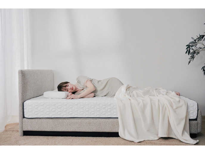 【セット商品】ラグフォートベッドマットレス+ラグフォートピロー 詳細画像