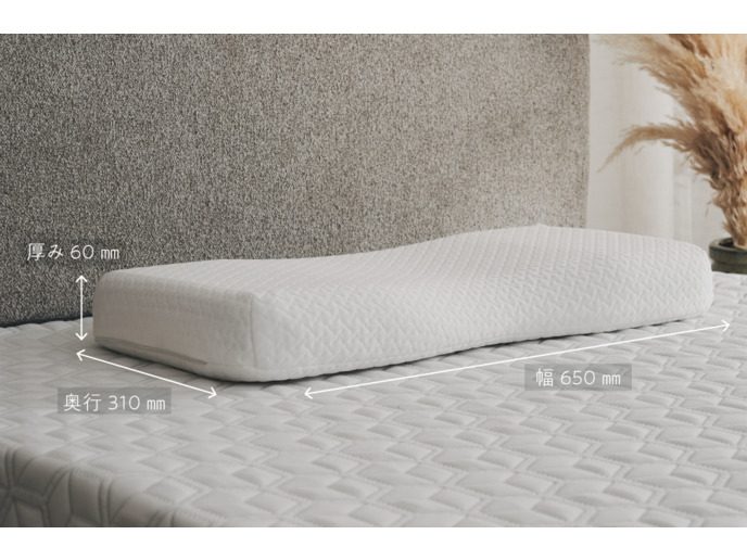 【セット商品】ラグフォートベッドマットレス+ラグフォートピロー 詳細画像